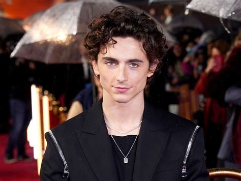 Heres Why Timothée Chalamet Tweeted Boner Bone In The